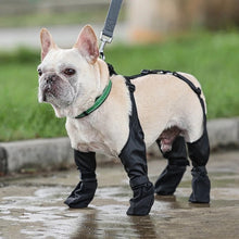 Load image into Gallery viewer, Vancouver Dog Boots | Waterproof Rain Dog Boots