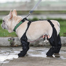 Load image into Gallery viewer, Vancouver Dog Boots | Waterproof Rain Dog Boots