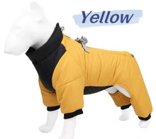 Load image into Gallery viewer, Waterproof Dog Rain Jacket | Vancouver Design - Sizes XS-3XL