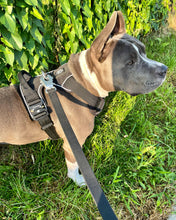 Load image into Gallery viewer, Large dog wearing Black heavy-duty harness outdoors
