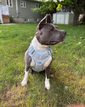 Load image into Gallery viewer, Baby Blue heavy-duty dog harness side view