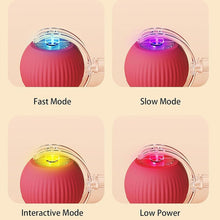 Load image into Gallery viewer, Pouncini™ — Interactive Cat Instinct Trainer (Motion & Sound Toy)