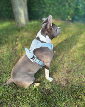 Load image into Gallery viewer, Baby Blue heavy-duty dog harness buckle detail