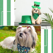 Load image into Gallery viewer, Saint Patrick's Day Dog Bandana - Pet Bandana | Amani Reign