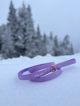 Load image into Gallery viewer, Dog wearing Lilac tactical dog leash outdoors