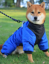 Load image into Gallery viewer, Waterproof Dog Rain Jacket | Vancouver Design - Sizes XS-3XL