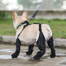 Load image into Gallery viewer, Vancouver Dog Boots | Waterproof Rain Dog Boots