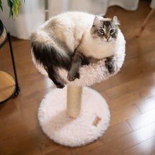 Load image into Gallery viewer, The Blush Perch – 1-Level Cat Tree
