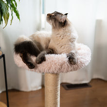 Load image into Gallery viewer, The Blush Perch – 1-Level Cat Tree