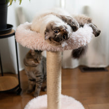 Load image into Gallery viewer, The Blush Perch – 1-Level Cat Tree