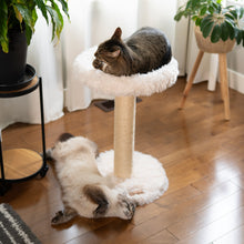 Load image into Gallery viewer, The Blush Perch – 1-Level Cat Tree