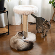 Load image into Gallery viewer, The Blush Perch – 1-Level Cat Tree