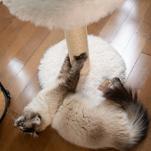 Load image into Gallery viewer, The Blush Perch – 1-Level Cat Tree
