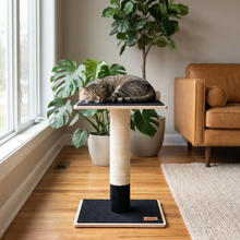Load image into Gallery viewer, Noba Modern Plywood 1-Level Cat Tree