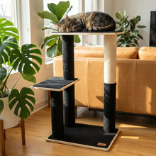 Load image into Gallery viewer, Noba Modern Plywood 2-Level Cat Tree
