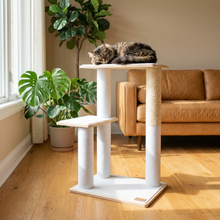 Load image into Gallery viewer, Noba Modern Plywood 2-Level Cat Tree