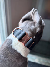Load image into Gallery viewer, Large dog wearing 2 inch waterproof PVC collar