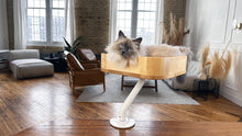 Load image into Gallery viewer, ERGO PURRCH Desk Mounted Cat Bed - Adjustable Cat Perch for Office