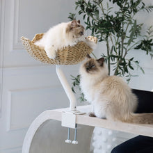 Load image into Gallery viewer, ERGO PURRCH Desk Mounted Cat Bed - Adjustable Cat Perch for Office