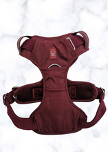Load image into Gallery viewer, Front no-pull D-ring on Cherry Wine heavy-duty dog harness