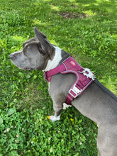 Load image into Gallery viewer, Cherry Wine heavy-duty dog harness on a large dog