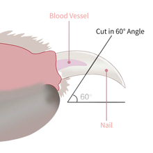 Load image into Gallery viewer, Noba LED Nail Clipper for Cats & Dogs