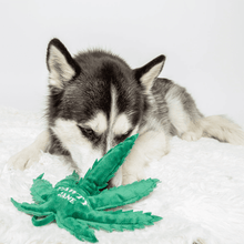 Load image into Gallery viewer, Pawty Jane Dog Toy