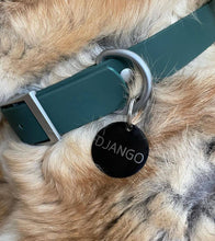 Load image into Gallery viewer, Dog wearing the waterproof collar, leash, and ID tag set