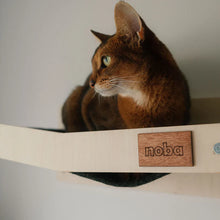 Load image into Gallery viewer, Wall Mounted Scratchable Cat Hammock