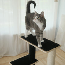 Load image into Gallery viewer, Noba Modern Plywood 2-Level Cat Tree