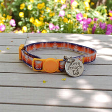 Load image into Gallery viewer, Cat wearing a breakaway collar with engraved ID tag