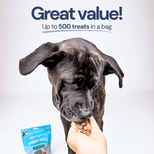 Load image into Gallery viewer, Beef Mini Training Treats | 1-Calorie Protein-Rich Dog Treats