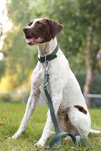 Load image into Gallery viewer, Dog wearing a waterproof PVC dog collar outdoors