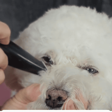 Load image into Gallery viewer, Furbolini™ Mini Trimmer - Precise trims for your pet's eyes, ears, paws and rump! - Amani Reign Pet Shop