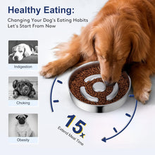Load image into Gallery viewer, Dog eating from a bowl with text on healthy eating habits and meal time extension.