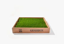 Load image into Gallery viewer, Real GrassBox