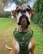 Load image into Gallery viewer, Cactus Green heavy-duty dog harness handle detail