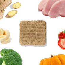 Load image into Gallery viewer, Turkey Meal Patties | Freeze-Dried Raw Dog Food with Prebiotics & Postbiotics