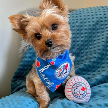 Load image into Gallery viewer, NEW INDESTRUCTIBLE Toronto Woofjays Dog Toy