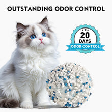 Load image into Gallery viewer, Vanilla Cassava Cat Litter Cubic Pack