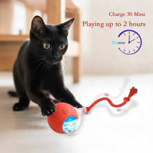 Load image into Gallery viewer, Pouncini™ — Interactive Cat Instinct Trainer (Motion & Sound Toy)
