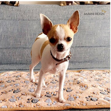 Load image into Gallery viewer, Cozalini™ Pet Blanket - Cozy Comfort for your Pet! - Amani Reign Pet Shop