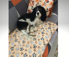 Load image into Gallery viewer, Cozalini™ Pet Blanket - Cozy Comfort for your Pet! - Amani Reign Pet Shop