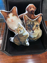 Load image into Gallery viewer, Hugster™ Custom Personalized Pet Pillow - Cozy One-Of-A-Kind Gift Idea - Amani Reign Pet Shop