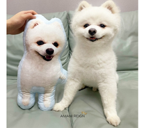 Load image into Gallery viewer, Hugster™ Custom Personalized Pet Pillow - Cozy One-Of-A-Kind Gift Idea - Amani Reign Pet Shop