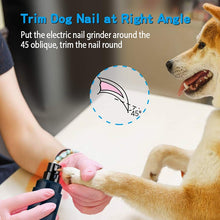 Load image into Gallery viewer, Nailini™ Nail Grinder with Light - Easiest, Safest Trimmer on the Market! - Amani Reign Pet Shop