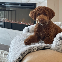 Load image into Gallery viewer, Snoozalini™ Calming Dog Bed Couch Protector - Amani Reign Pet Shop