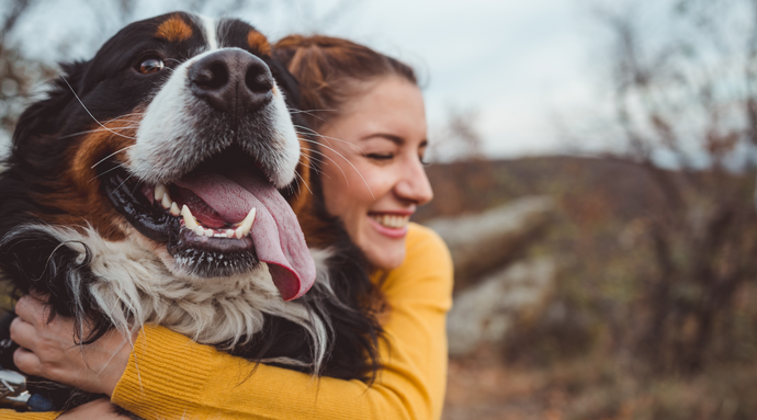 What to Look for When Getting a Dog: 8 Essential Adoption Guide Tips!