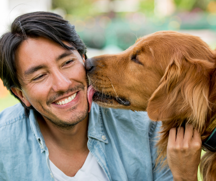 Paws for Love: Why Dogs Want to Kiss Us and the Scoop on Canine Smooches!