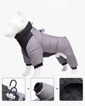 Load image into Gallery viewer, Waterproof Dog Rain Jacket | Vancouver Design - Sizes XS-3XL
